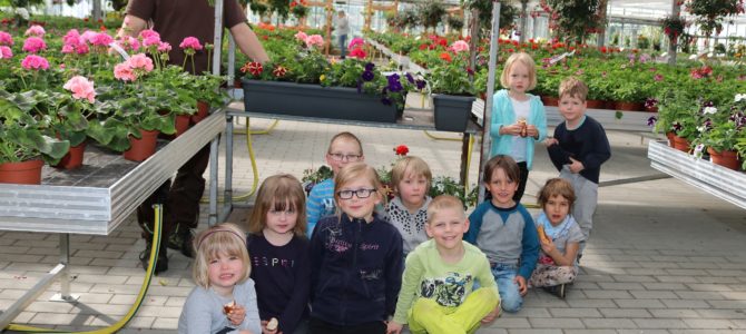 Saisoneröffnung in der Blumen- und Pflanzenwelt Carstensen Saisoneröffnung in der Blumen- und Pflanzenwelt Carstensen